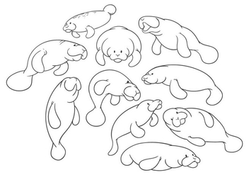 Free Cartoon Manatee Vector - vector gratuit #400899